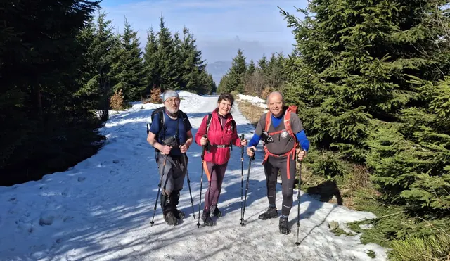 Tři turisté na zasněžené lesní cestě