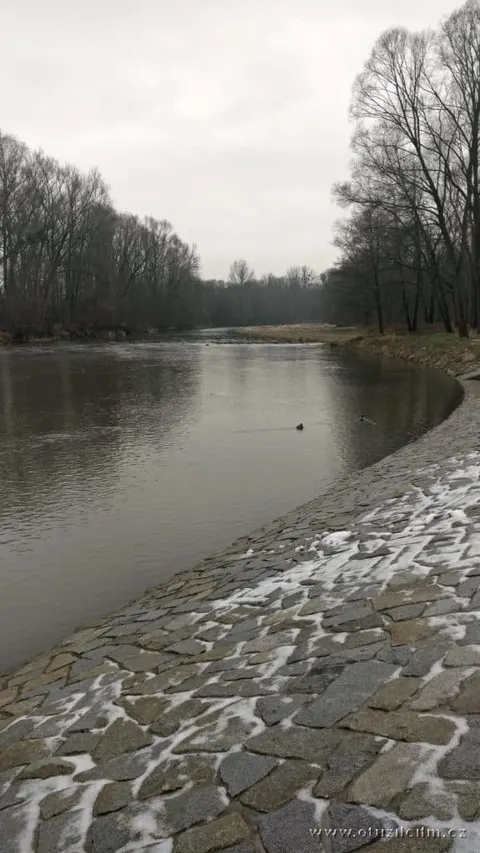 20-1-2020 — fotografie 5