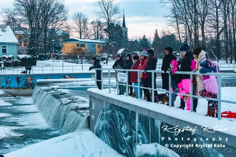 19-1-2021 — fotografie 13